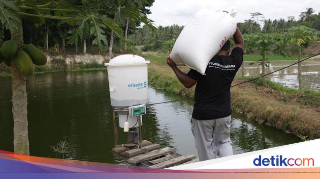 Eks CEO eFishery Gibran Huzaifah Ditangkap, Ini Kasus yang Menjeratnya