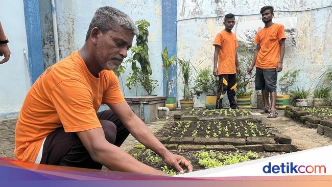 Melihat Aktivitas Deteni di Rudenim Medan, Hilangkan Stres Lewat ...
