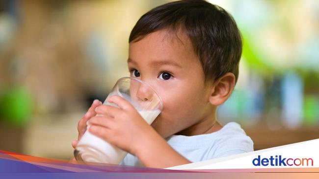 Kilas Balik Isu Susu di 2024, dari Impor Sapi Perah hingga Susu Ikan