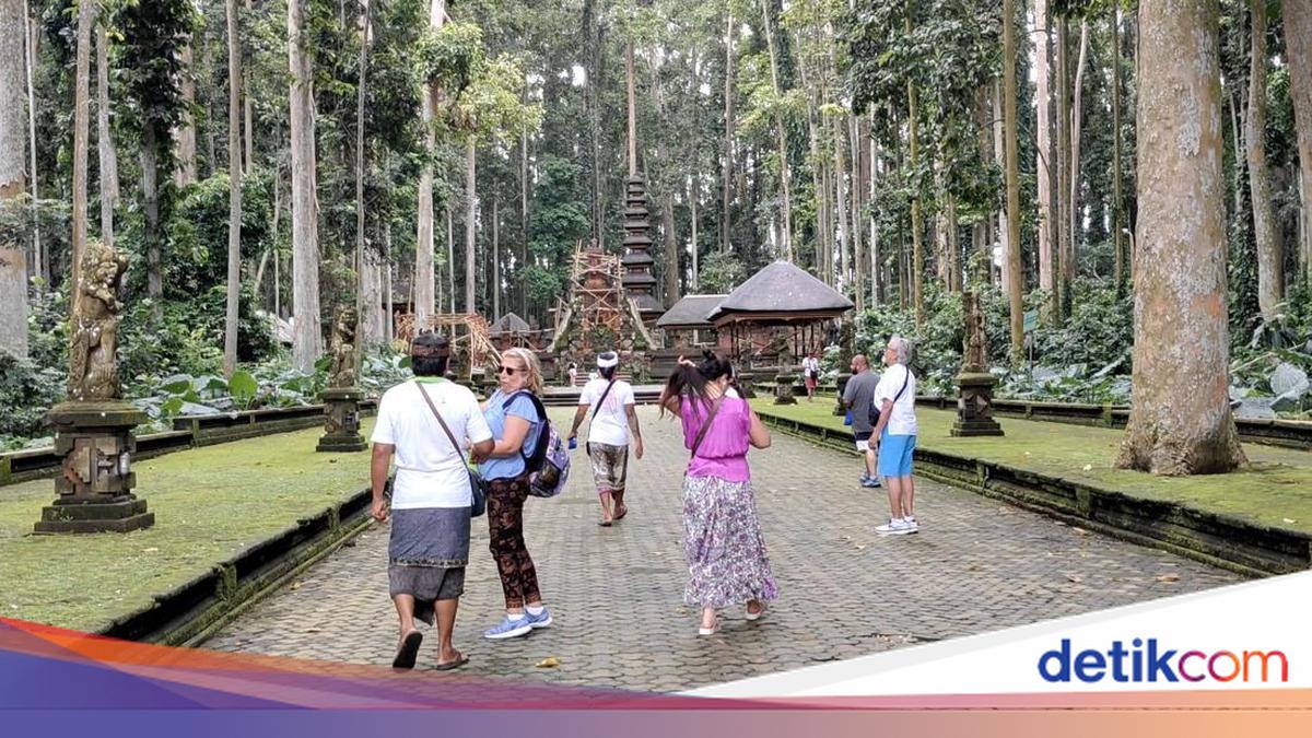 Menguak Kisah Niskala 'Setra Bojog' dan Tradisi Pekutangan Monyet di Sangeh
