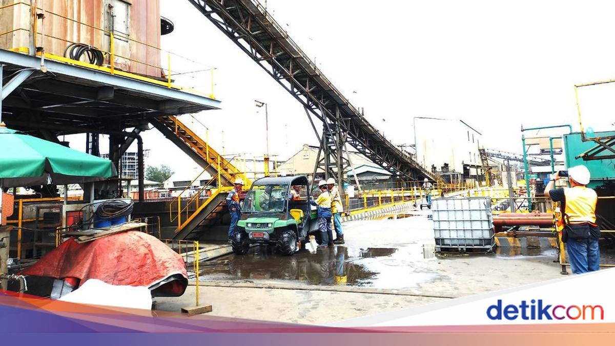 Smelter Freeport di Gresik Kembali Operasi Bertahap Mulai September 2026