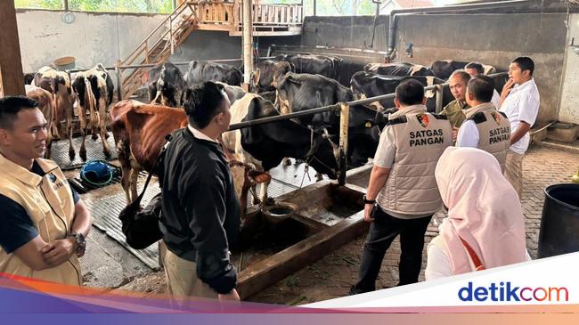 Satgas Pangan Polri Awasi Industri Olah Susu Segar di Jateng dan Jatim