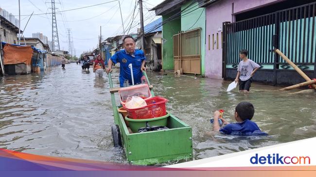 Keluh Kesah Warga Muara Angke Imbas Banjir Rob: Ganggu Kerja-Dagang Sepi