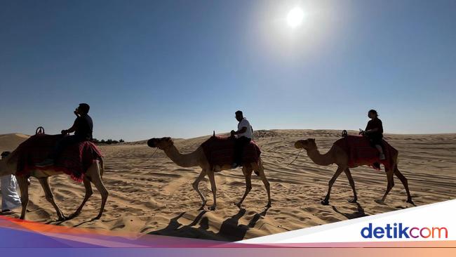 Potret Safari di Abu Dhabi: Naik Unta &amp; Kebut-kebutan Mobil Offroad