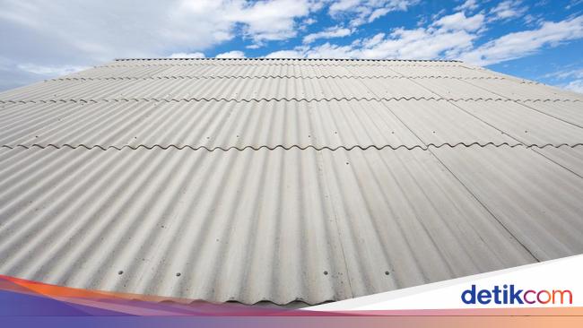 Bahaya Asbes: Apa yang Membuatnya Berbahaya bagi Kesehatan Manusia?