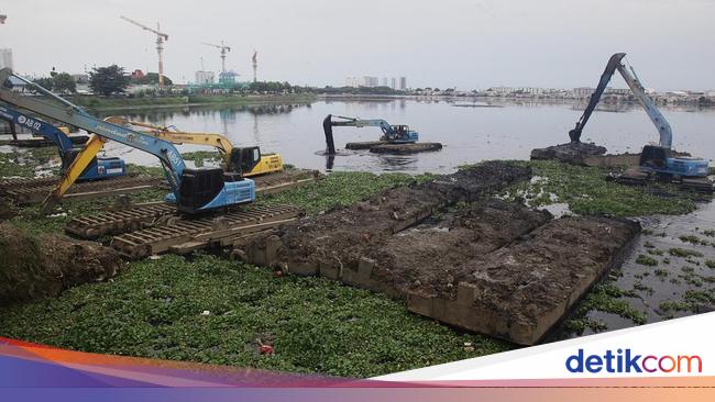 Lumpur dan Enceng Gondok Masih Ancam Waduk Pluit