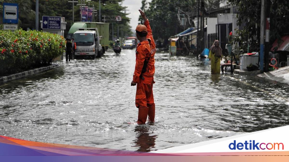 BPBD Jakarta Ungkap Kendala Atasi Banjir Rob: Tanah Turun, Laut Naik