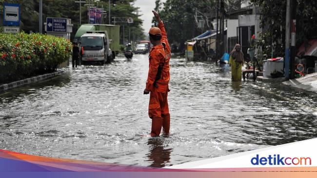 BPBD Jakarta Ungkap Kendala Atasi Banjir Rob: Tanah Turun, Laut Naik