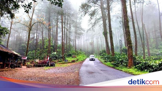 Liburan Tanpa Cuti &amp; Macet: 5 Wisata Alam di Pinggir Kota buat Recharge Otak