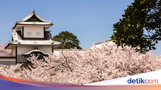Japan’s Tourism Booms as Yen Weakens, Setting Record Visitor Numbers