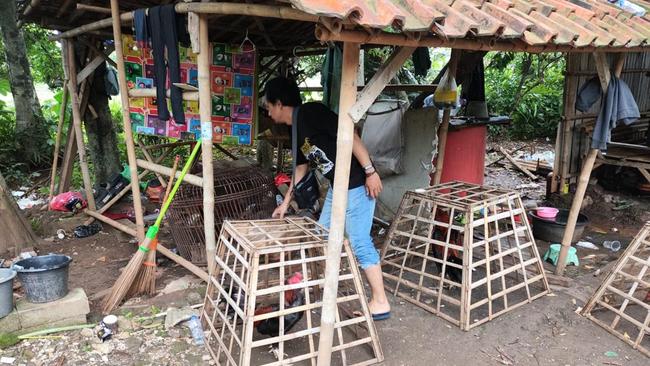 Polisi Bubarkan Judi Sabung Ayam di Bogor, Pelaku Kabur Tinggalkan Motor