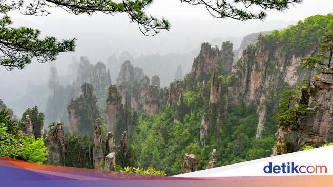 Buset, Puluhan Ton Sampah Dikeruk dari Gua 'Hutan Avatar'