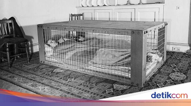 Sederet Penemuan Jadul Ini Unik dan Bikin Geleng-geleng