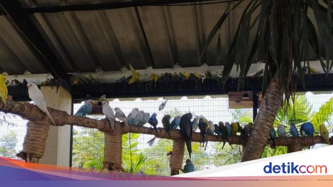 Foto: Keseruan Melihat Aneka Burung Aviary Park Tangsel