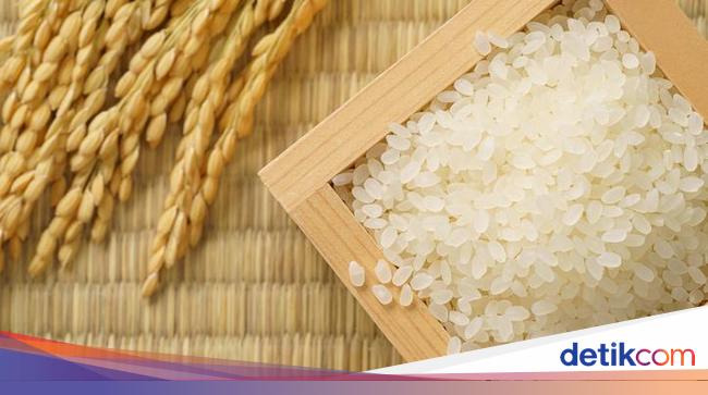 8 Kriteria Beras Premium yang Sempat Disebut Kena PPN 12%