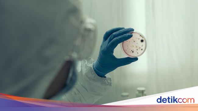 Gejala Utama Penyakit HMPV, Penularan dan Cara Mengobatinya