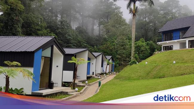 Tempat Staycation Baru di Puncak Bertambah, Namanya Arunika Lodge &amp; Resto