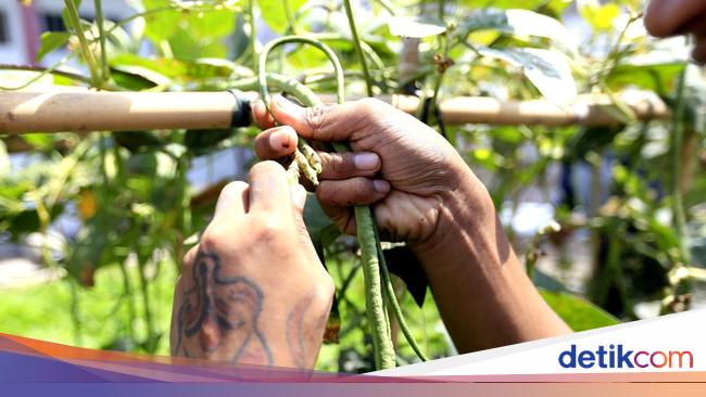 Kemandirian Pangan untuk Warga Binaan