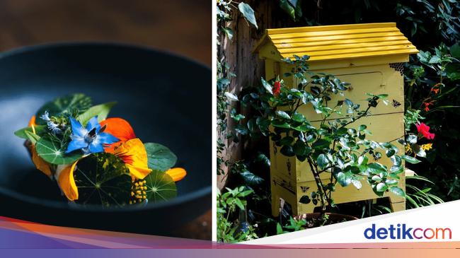 Keren! Salah Satu Resto Terbaik di Dunia Ini Pegawainya Hanya Satu