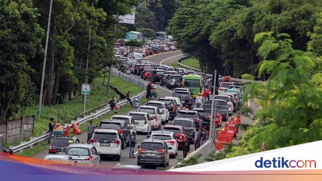 Data dan Fakta Puncak Bogor saat Libur Panjang Jadi Primadona