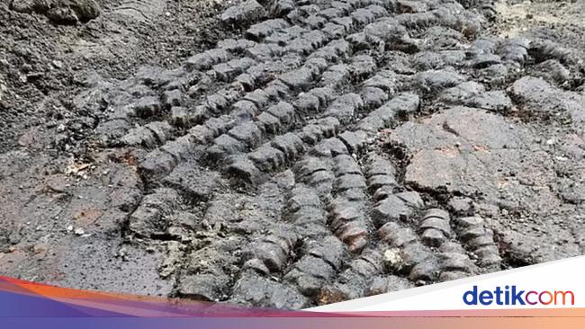 Ngeri! Arkeolog Temukan Lantai Terbuat dari Tulang di Belanda