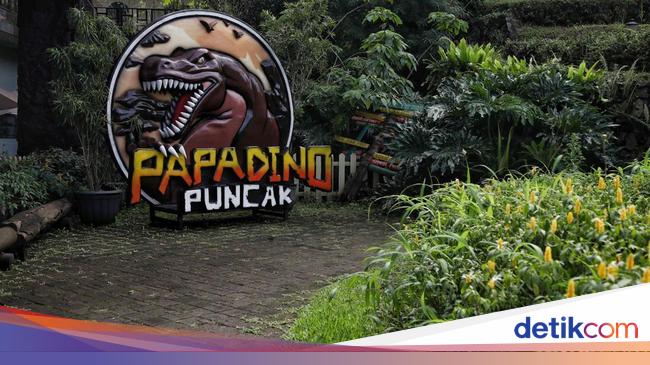 Asik, Sekarang Ada Dinosaurus di Puncak Bogor