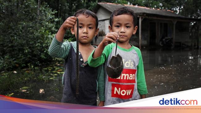 Nestapa Kampung Sembilangan yang Dikepung Banjir Rob