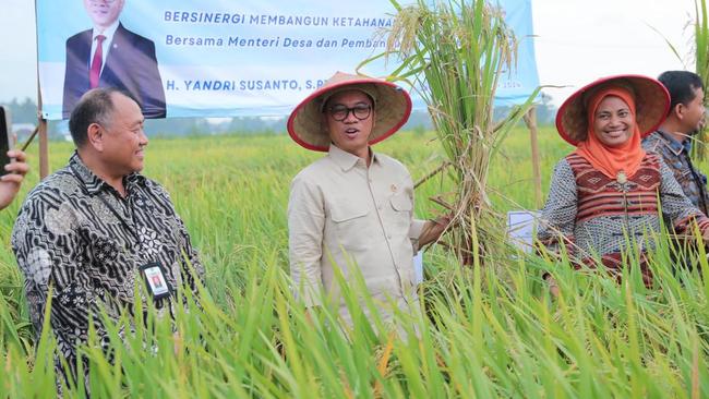 Mendes Bicara Peran BUMDes Serap Tenaga Kerja di Desa