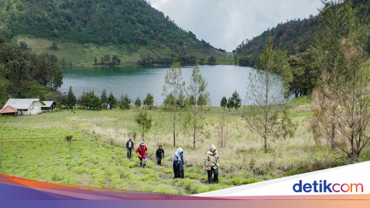 Keanekaragaman Flora dan Fauna Gunung Semeru