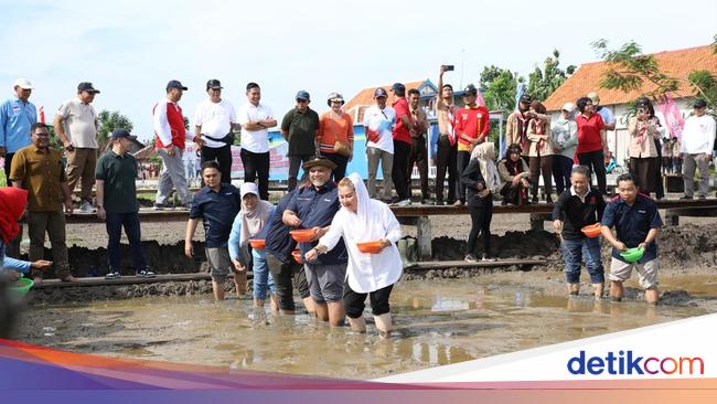 BRIN Apresiasi Pemkot Semarang dan PGN Cetak Sawah 20 Hektare di Pesisir