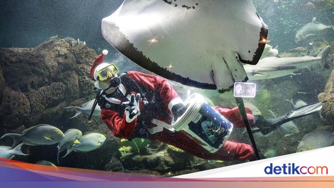 Serunya Melihat Pertunjukan Sinterklas di Dalam Air