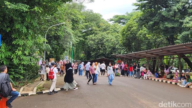 Hari Natal, 26 Ribu Pengunjung Padati Taman Margasatwa Ragunan