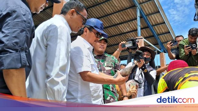 Cek Pelabuhan Karangsong, Menteri KP Pastikan Pasokan Ikan Aman Sambut Tahun Baru