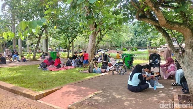 Kesan Disabilitas Pengguna Kursi Roda Mengitari Kebun Binatang Ragunan