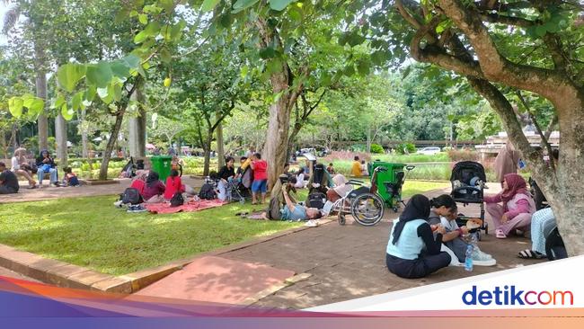 Kesan Disabilitas Pengguna Kursi Roda Mengitari Kebun Binatang Ragunan