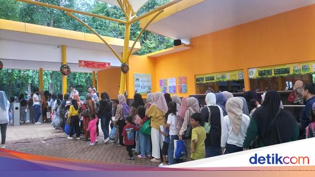 Pengelola Ragunan Targetkan 80 Ribu Pengujung di Tahun Baru 2025