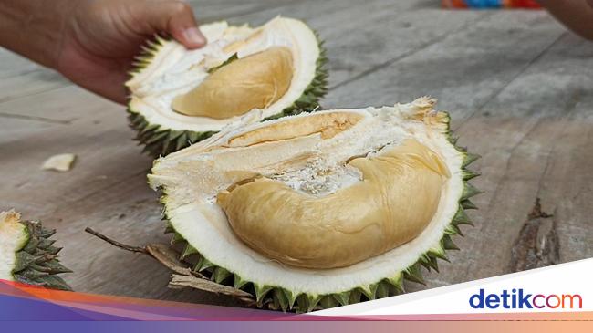 Deretan Makanan dan Minuman yang Tidak Boleh Dimakan Bersama Durian