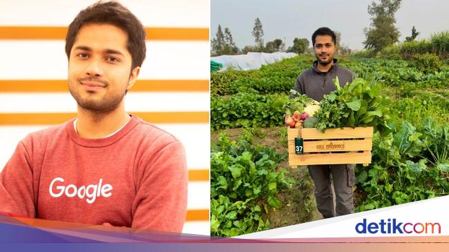 Mantan Pekerja Google Sukses Jadi Petani di Kampung Halaman