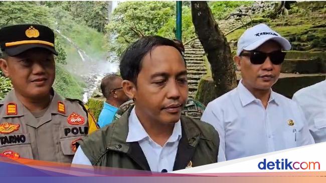 Menhut Mau Siapkan Hutan buat Cadangan Pangan hingga Energi