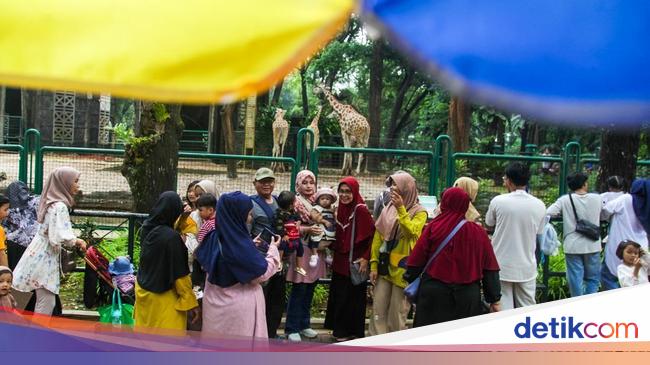 Liburan Murmer Weekend Terakhir 2024 di Ragunan