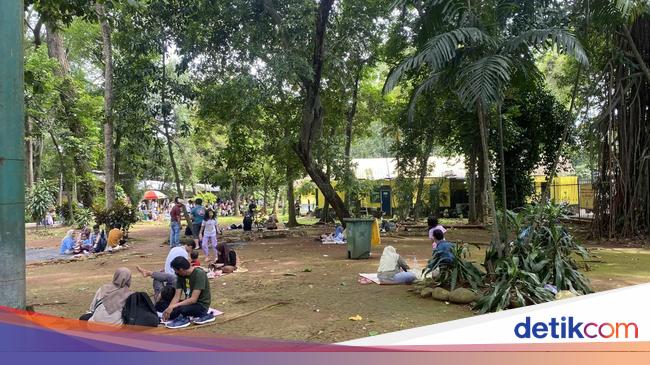 Ramai Warga Beli Tikar demi Bisa Rebahan Saat Liburan di Ragunan