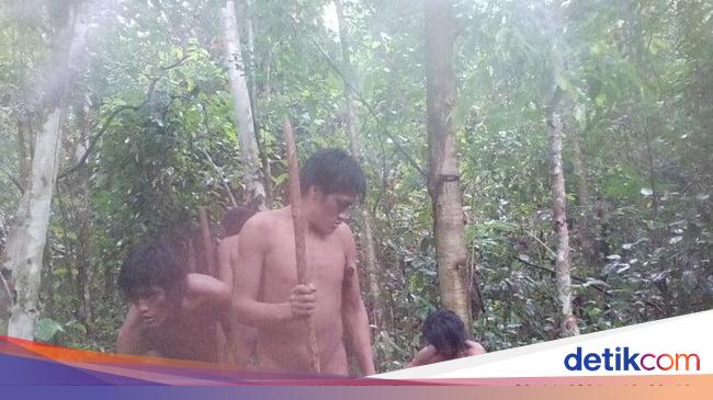 Penampakan Suku Amazon yang Tak Terkontak Dipotret dari Jarak Jauh