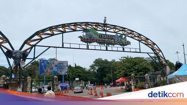 Jadwal Buka Ragunan Selama Long Weekend Isra Mikraj-Imlek 2025