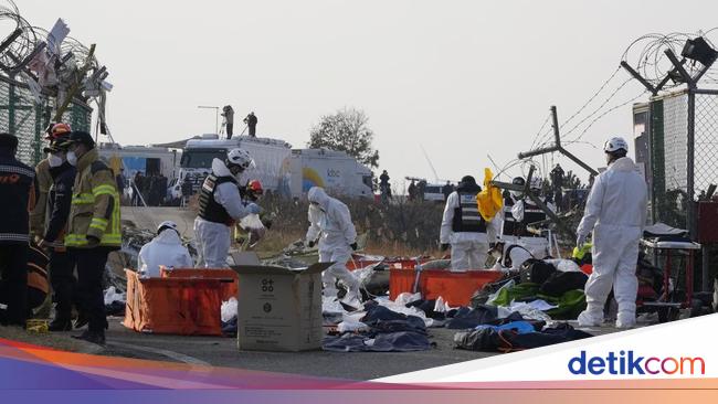 7 Fakta Kecelakaan Jeju Air yang Tewaskan 179 Orang