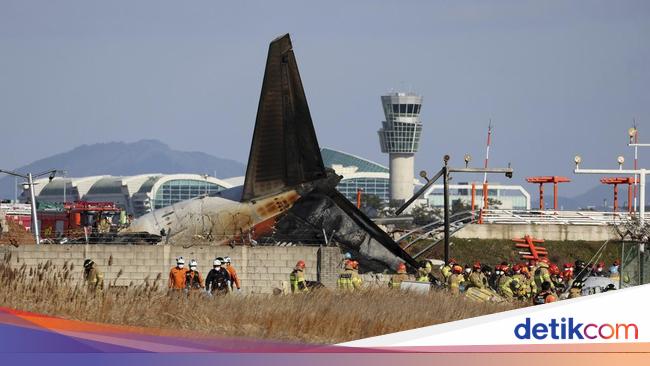 Jeju Air Crash: Passenger’s Final Message Hints at Bird Strike