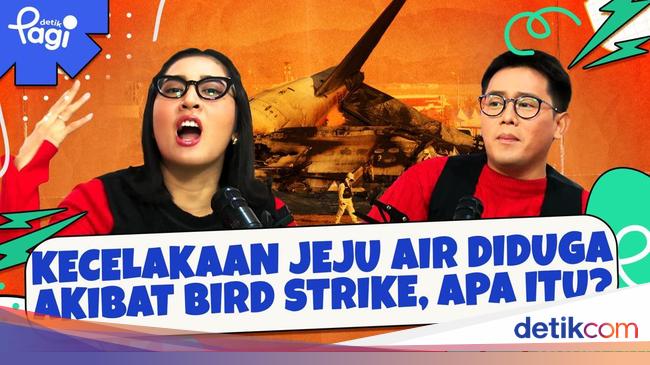 Kecelakaan Jeju Air Diduga Akibat Bird Strike, Apa itu?