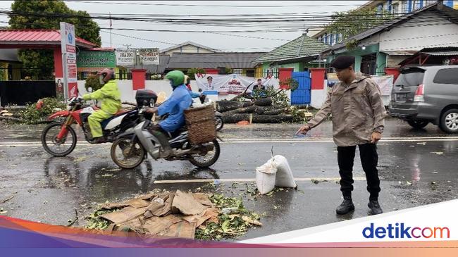 Ibu dan Menantu di Pangkalpinang Tewas Tertimpa Pohon Tumbang