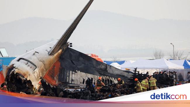 Ahli Pertanyakan Kecelakaan Jeju Air Akibat Bird Strike