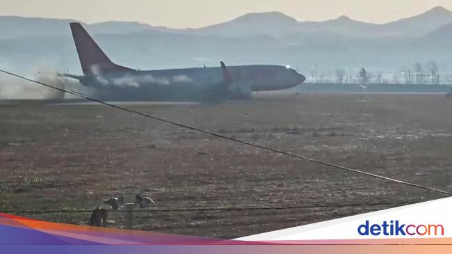 Tragedi Jeju Air Bikin Bandara Korsel Kini Deteksi Burung