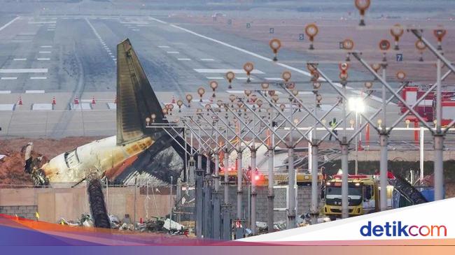 Kecelakaan Jeju Air, Pakar Pertanyakan Dinding Beton Dekat Landasan